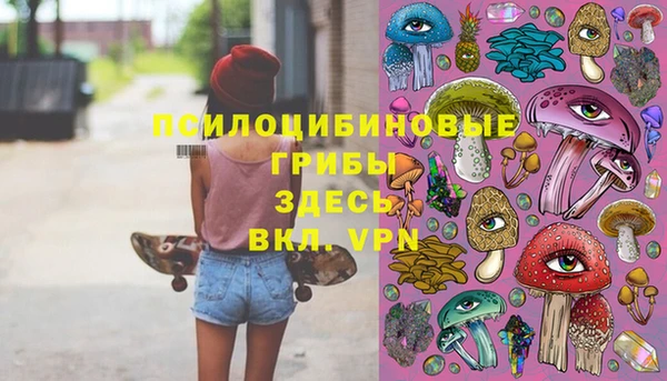 дживик Аркадак
