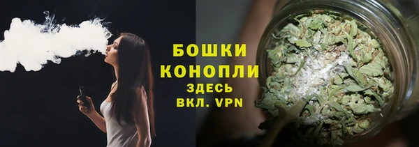 дживик Аркадак
