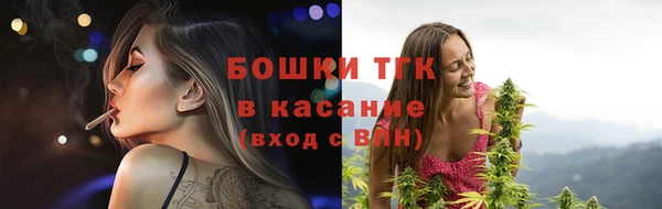 ешки Арсеньев
