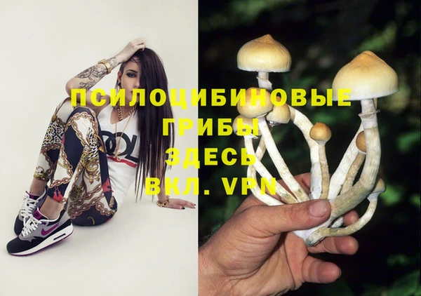 бошки Нефтегорск
