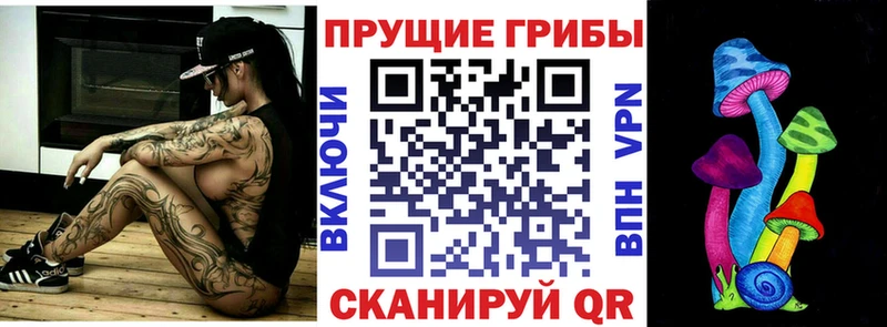 купить   Светогорск  Галлюциногенные грибы Cubensis 